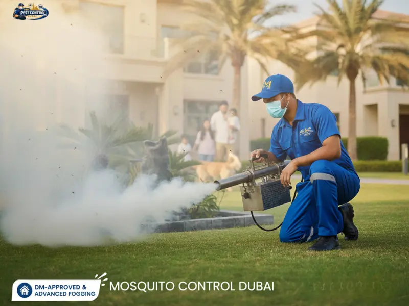 Thermal fogging for mosquito control Services in a Dubai backyard