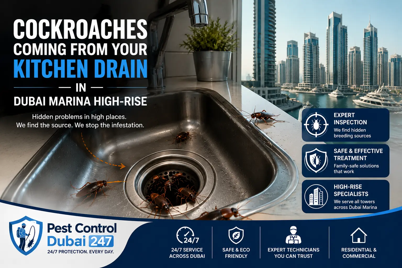 Cockroaches Coming From Your Kitchen Drain in a Dubai Marina
